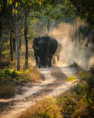 /album/fotogaleria-lakadivy-zajazd/lakadivy-zajazd-india-jamajkanita-30-jpg/